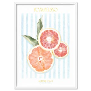 Grapefruit Art Print. Orange Red Grapefruit Slices Poster. Modern Citrus Kitchen Wall Art. Blue Stripe background. Dining or Kitchen |FDK-09