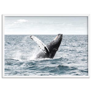 Humpback Whale Art Print. Whale Breaching in Ocean. Landscape Photographic Poster Print. Modern Minimal Whale Art. Print and Proper | ANA-81