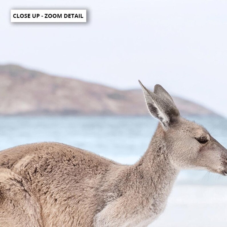 Kangaroo Art Print. Kangaroo Hopping on Beach Poster. Australian Animal Wall Decor. Soft Tone Seascape Photography Coastal Print| ANA-96 zdjęcie 7