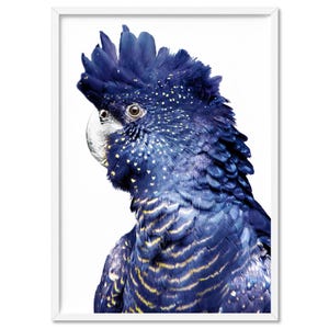 Black Cockatoo Art Print Poster. Native Australian Bird Wall Art. Blue Tones Parrot Photography Art Print. Great as a Set of 2 | ANA-94