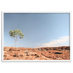 Lone Gumtree Print in Australian Outback. Red Earth Botanical Art Print or Canvas. Eucalyptus Tree Print. Australian Native Outback | LND-07