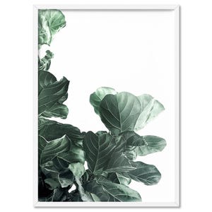 Fiddle Leaf Fig III Art Print. Fig Tree Watercolour Style. Botanical Poster Print. Designed from Original Photo. Great in the Set | PLT-134 画像 1