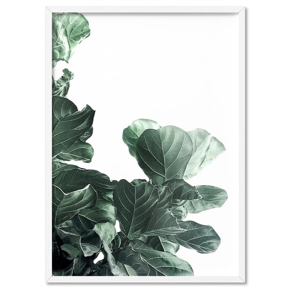 Fiddle Leaf Fig III Art Print. Fig Tree Watercolour Style. Botanical Poster Print. Designed from Original Photo. Great in the Set | PLT-134