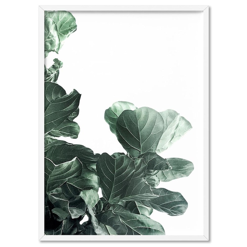 Fiddle Leaf Fig III Art Print. Fig Tree Watercolour Style. Botanical Poster Print. Designed from Original Photo. Great in the Set | PLT-134 画像 1