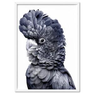 Black Cockatoo Print. Modern Wall Art. Sketch Style look. Original Modern Australian Home Decor. Perfect for lounge room | ANA-28