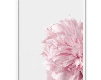 Peonies Art Print. Blush Pink Pastel Photography. Mix and Match the Set. Ready to Hang or Poster. Modern Floral Chic Decor | PLT-37
