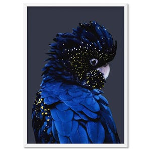 Black Cockatoo Wall Art Print. Blue Watercolour Style Parrot. Modern Australian Art Print. Framed or Unframed. Living room Decor | ANA-01