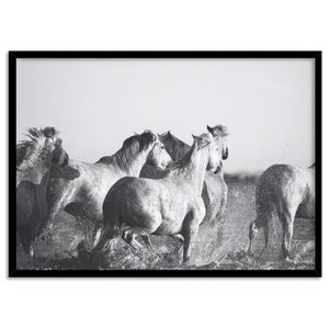 Horses Art Print. Black and White. Modern Scandi Art Print in - Etsy
