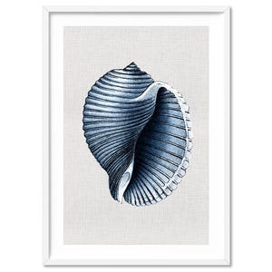 Scotch Bonnet Shell Poster Print. Navy Vintage Illustration on Linen Texture Print. Sea Shell Hamptons Coastal Wall Art Print | CSH-48