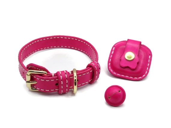 Dog Collar With Samsung Galaxy Smart Tag and Smart Tag Plus Holder