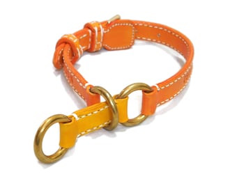 Dog Choke Collar - Adjustable  Martingale Dog Collar