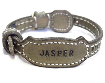 May include: A brown leather dog collar with white stitching and the name "JASPER" embossed on a tag.