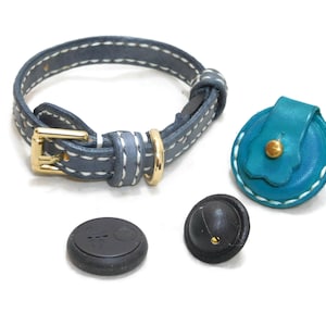May include: A blue leather dog collar with white stitching and a gold buckle, a teal leather dog tag with white stitching and a gold button, and two black leather dog tags with gold accents.
