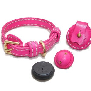 Dog collar with TILE (Sticker) GPS Tracker holder and bell