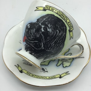 Neufundländer Teetasse mit Untertasse, Karte von Neufundland, Taylor & Kent Porzellan,