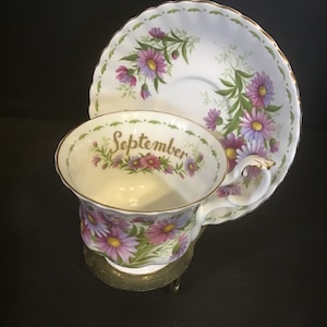 Royal Albert Flower of the Month Tea Cup and Saucer,September,Michaelmas Daisy
