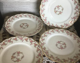 Antique Limoges Bridal Wreath Luncheon Plates,set of 4