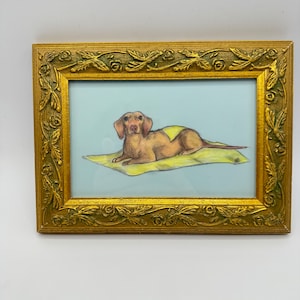 Weiner in a Blanket Original Illustration by Bailey Berendsen