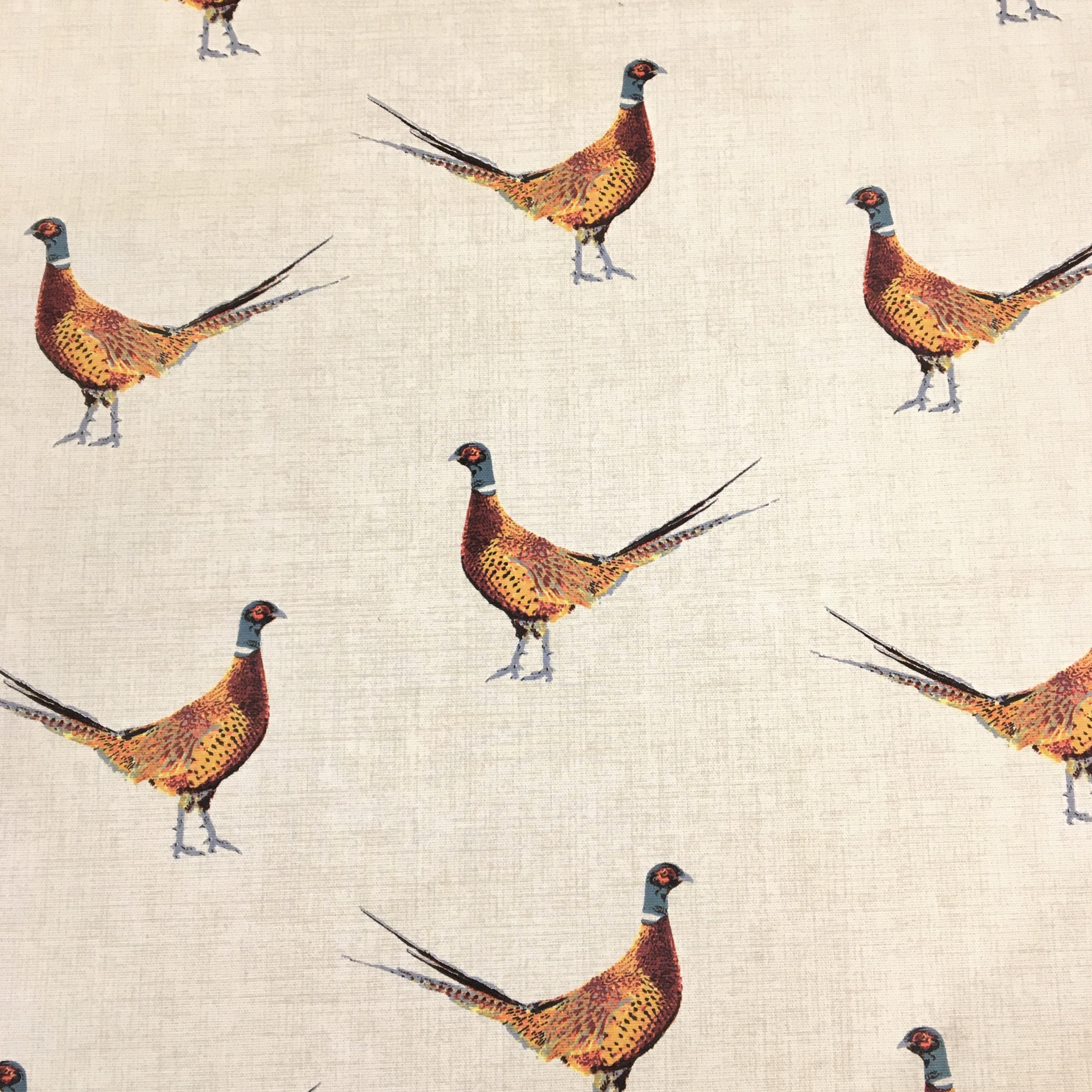 Pheasant wallpaper clearance