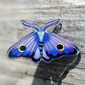 Moth acrylic pin