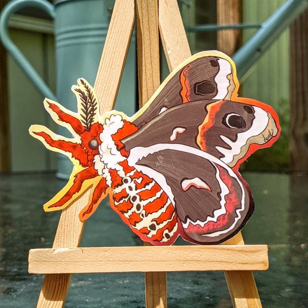 Cecropia moth sticker