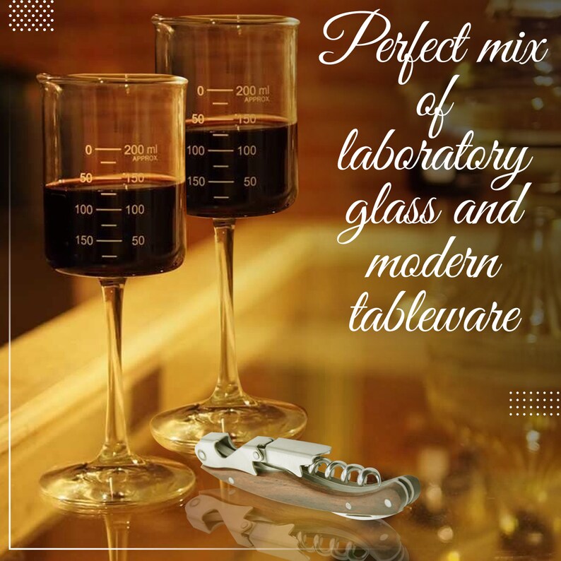 Laboratory Beaker Wine Glass Gift Set 2 Pack 200 Ml Etsy