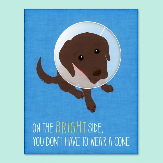 funny-dog-greeting-card-get-well-soon-card-funny-get-well-etsy