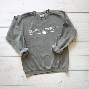 comfort colors sweatshirt college