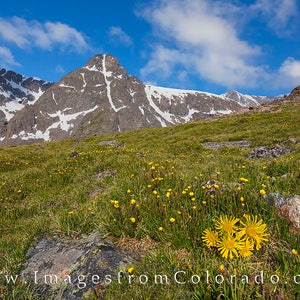 4 Ft Mt. Holy Cross Mountains. Colorado 14er Mountain Range - Etsy