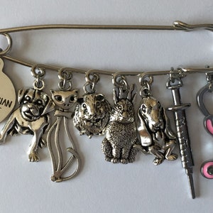 May include: A silver-toned safety pin charm featuring a Veterinarian Assistant tag and animal-themed charms. Charms include a dog, cat, hamster, rabbit, syringe, and a pink stethoscope. A unique accessory for veterinary professionals.