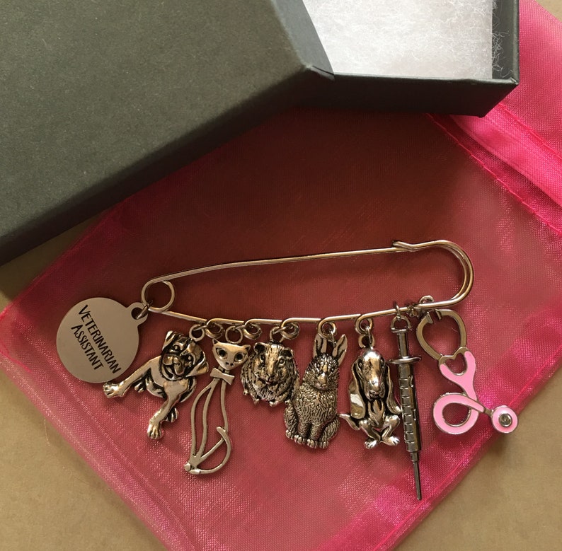 May include: A silver-toned safety pin brooch with charms of various animals, a syringe, and a pink stethoscope. A round charm reads "VETERINARIAN ASSISTANT". The brooch is displayed on a pink fabric inside a black gift box.
