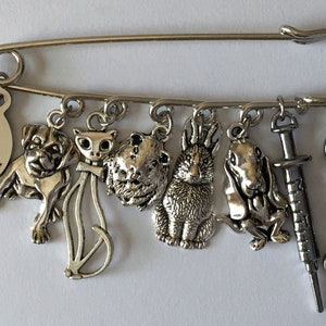 May include: A silver-tone safety pin charm with multiple dangling charms. Charms include a dog, cat, hamster, rabbit, basset hound, syringe, and stethoscope. A round charm reads "VETERINARIAN ASSISTANT".