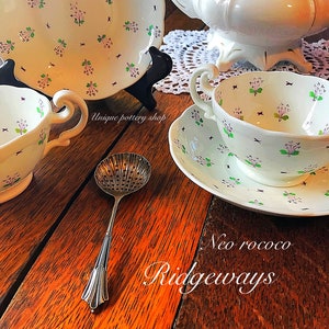 Può includere: Un set vintage di tazzine da tè e piattini con un delicato motivo floreale in tonalità di viola, verde e bianco. Le tazzine da tè e i piattini sono realizzati in fine porcellana e hanno un aspetto delicato e femminile. Il set comprende una teiera, un filtro per il tè e un piattino con un piccolo piatto per servire biscotti da tè. Il testo "Neo rococo Ridgeways" è visibile nell'immagine.