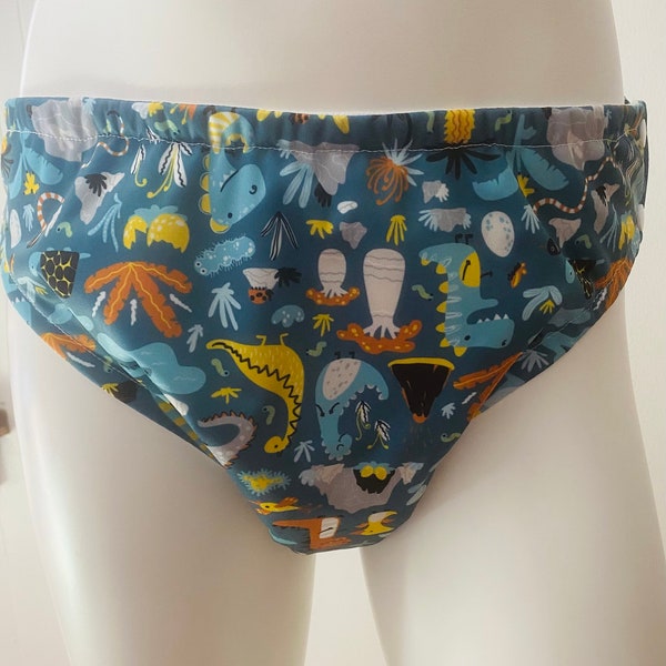Abdl Swim Diaper Etsy Singapore