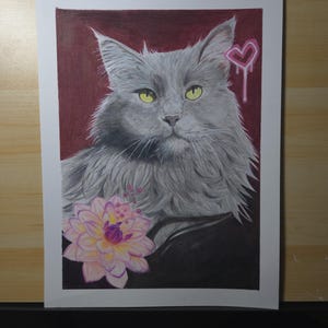 Pet portrait colour pencil