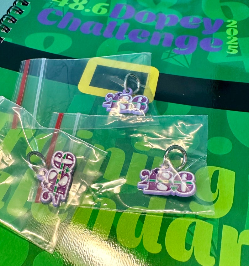 May include: Three purple and green charms with silver rings. Each charm has the number 2025 on it. The charms are in clear plastic bags.