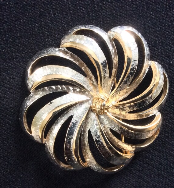 Pastelli brooch best sale