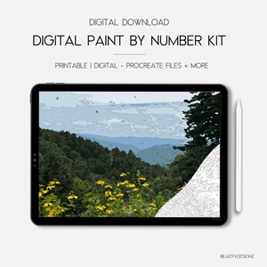 Digital Paint By Number Kit Adult For Procreate PBN | Printable Color By Numbers | TN Mountains View | Procreate Palette | Digital Wallpaper