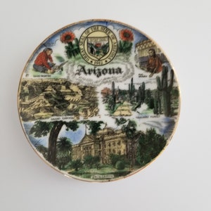 Arizona mini state plate