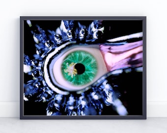 Abstract Eye Art Print, "Optical Delusion"