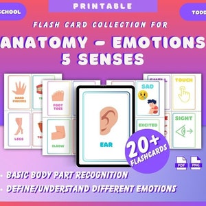 FLASHCARDS FOR KIDS | Body Parts | Emotions | Senses