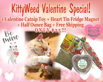 Cat Toy with Catnip, Organic Catnip Blunt Toy, All Natural Catnip Toy, Eco Friendly Catnip Doobie, Catnip Filled Toys, Cat Lover Gifts