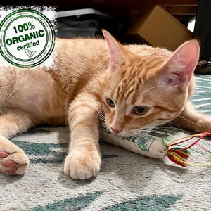 Stuffed Catnip Toy, Organic Catnip Pouch, Eco Friendly Cat Toy, Soft Cat Toy, Funny Gift for Cats, Gift for Nurse, Natural Catnip Kicker