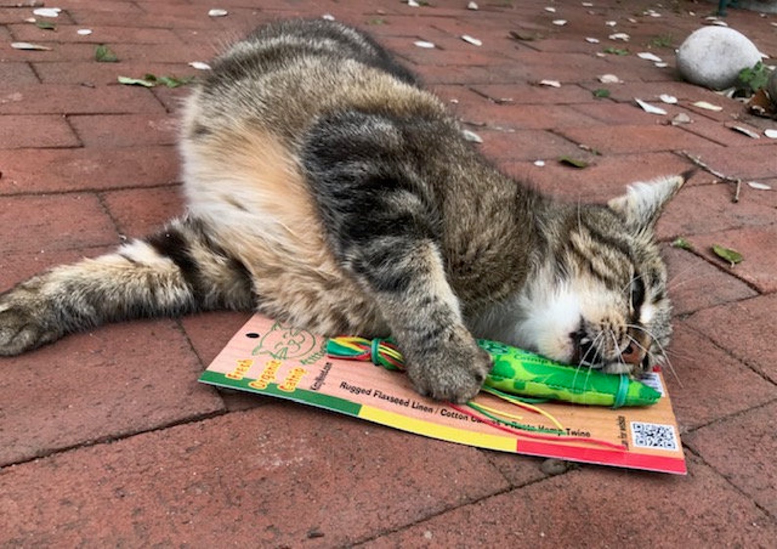 Cat Toy With Catnip Organic Catnip Blunt Toy All Natural Etsy UK