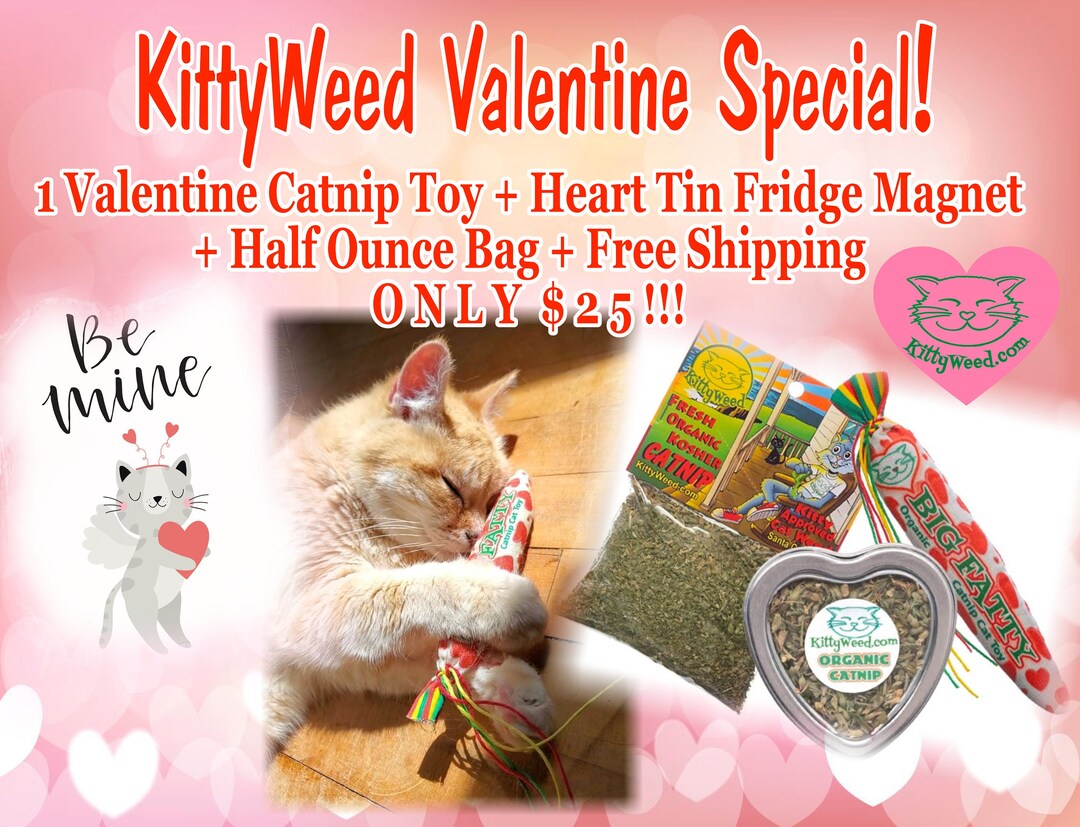 Cat Toy With Catnip, Organic Catnip Blunt Toy, All Natural Catnip Toy