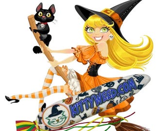 Halloween Catnip Cat Toy, Handmade, Super Potent, Catnip Kicker, Eco Friendly