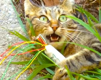 Super Potent Catnip Toy, Catnip Kicker, Catnip Joint, All Natural Cat Toys, Best Cat Toys, Handmade Cat Toys, Gift for Cat Owner
