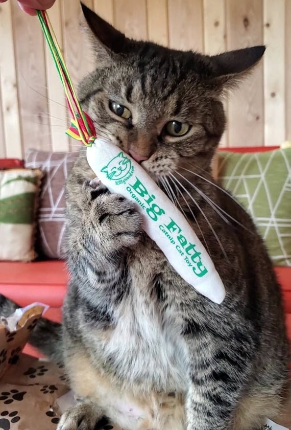 Organic Catnip Toy, Catnip Kicker, Cat Nip Joint, Cat Nip Pouch