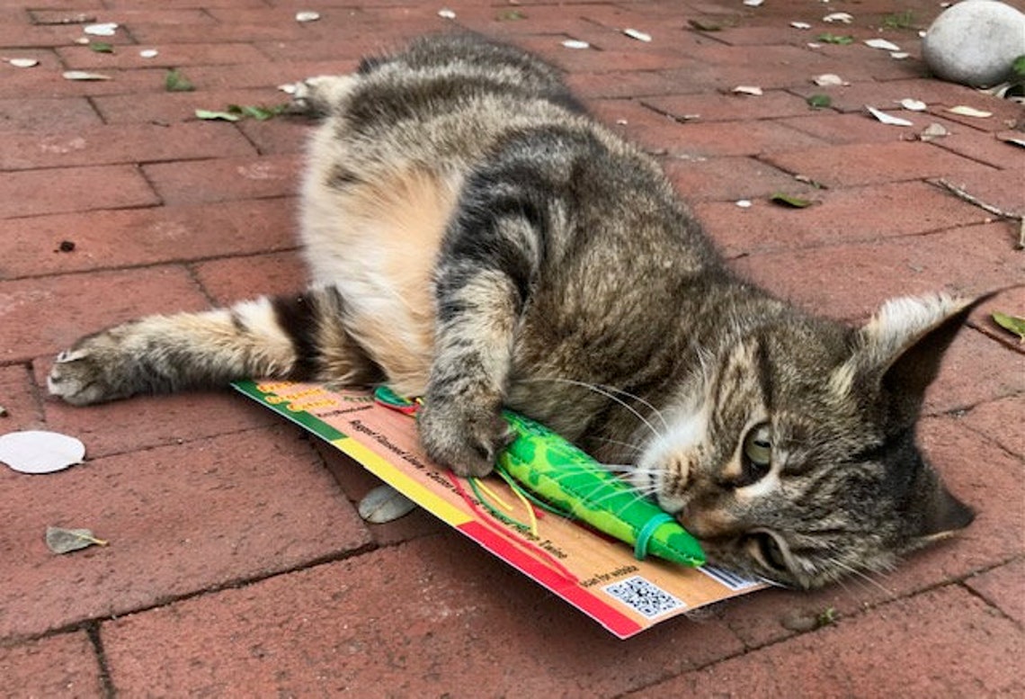 Cat Toy With Catnip Organic Catnip Blunt Toy All Natural Etsy UK