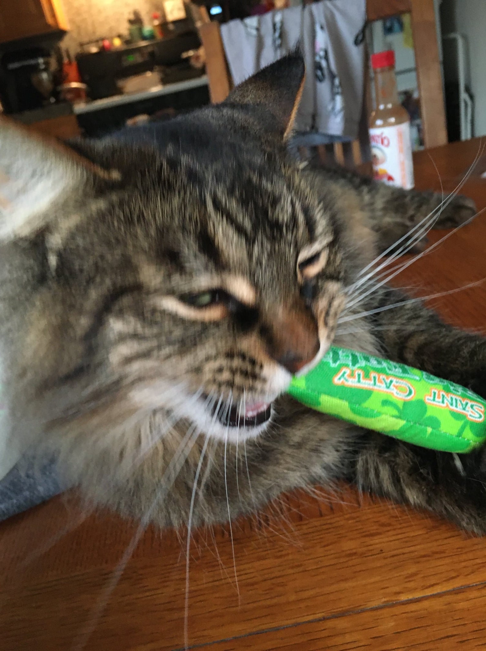 Cat Toy With Catnip Organic Catnip Blunt Toy All Natural Etsy UK